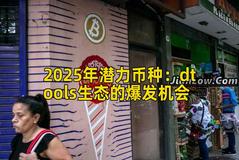 2025年潜力币种：dtools生态的爆发机会