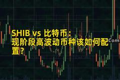 SHIB vs 比特币：现阶段高波动币种该如何配置？