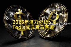 2025年潜力分析：D-Tools或成黑马赛道
