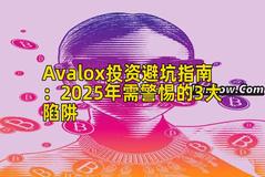 Avalox投资避坑指南：2025年需警惕的3大陷阱