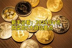 新手必看：2026年V币购买的5大避坑要点