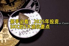 新手必看：2026年投资SKC的5大避坑要点