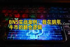 BNS实战案例：我在明年牛市的翻仓逻辑