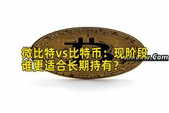 微比特vs比特币：现阶段谁更适合长期持有？