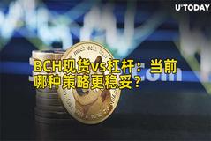 BCH现货vs杠杆：当前哪种策略更稳妥？