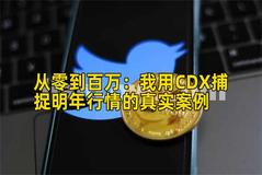 2026年行情分析：我用CDX捕捉明年行情的真实案例