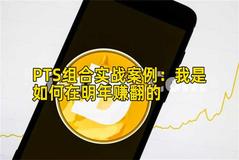 PTS组合实战案例：我是如何在明年赚翻的