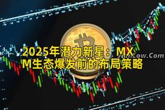 2025年潜力新星：MXM生态爆发前的布局策略
