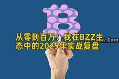 从零到百万：我在BZZ生态中的2025年实战复盘