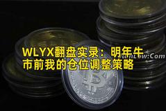 WLYX翻盘实录：明年牛市前我的仓位调整策略