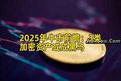 2025年牛市前瞻：3类加密资产或成黑马