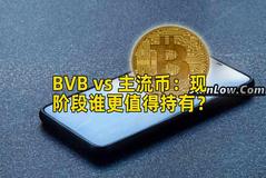 BVB vs 主流币：现阶段谁更值得持有？