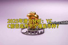 2025年潜力分析：YCC能否成为下个爆发币种？