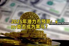 2025年潜力币预测：xnv能否成为黑马？