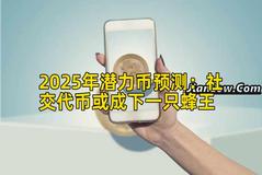 2025年潜力币预测：社交代币或成下一只蜂王