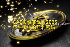GAE投资实战：2025年牛市中的盈利密码
