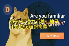 2025年潜力币种：柚子币能否突破新高峰？