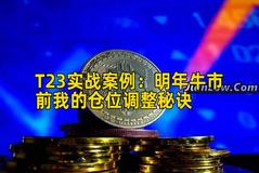 T23实战案例：明年牛市前我的仓位调整秘诀