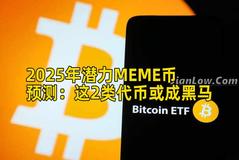 2025年潜力MEME币预测：这2类代币或成黑马