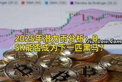 2025年潜力币分析：BSK能否成为下一匹黑马？