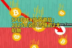 SPEEDEX投资避坑：2025年必须警惕的2大陷阱