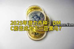 2025年潜力币种：DMC能否成为下一匹黑马？
