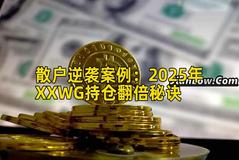 散户实战案例：2026年XXWG持仓收益增长秘诀