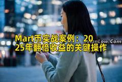Mart币实战案例：2025年翻倍收益的关键操作