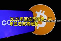 2025年百倍币猜想：V币生态或将崛起