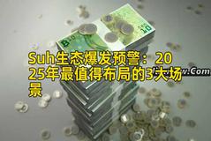 Suh生态爆发预警：2025年最值得布局的3大场景