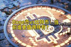 Doge币vs比特币：当前谁更值得持有？