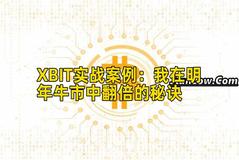 XBIT实战案例：我在明年牛市中翻倍的秘诀