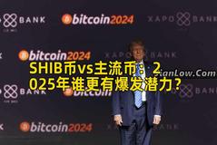 SHIB币vs主流币：2025年谁更有爆发潜力？