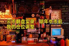 云币翻盘实录：明年牛市前我的仓位调整