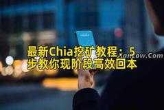最新Chia挖矿教程：5步教你现阶段高效回本