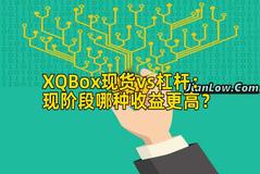 XQBox现货vs杠杆：现阶段哪种收益更高？