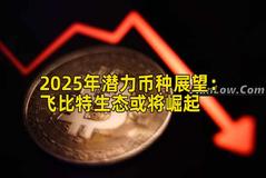 2025年潜力币种展望：飞比特生态或将崛起