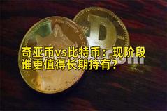 奇亚币vs比特币：现阶段谁更值得长期持有？