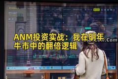 ANM投资实战：我在明年牛市中的翻倍逻辑