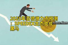 2025年百倍潜力币预测：SPEEDEX生态或成黑马