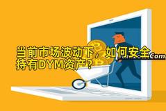 当前市场波动下，如何安全持有DYM资产？