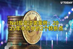 Nel投资逆袭案例:2025年牛市中的2个转折点 Nel投资逆袭案例:2025年牛市中的2个转折点