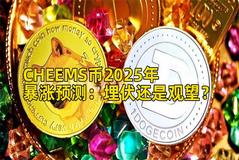 CHEEMS币2025年暴涨预测：埋伏还是观望？