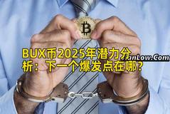 BUX币2025年潜力分析：下一个爆发点在哪？