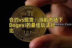 合约vs现货：当前市场下Dogexi的最佳玩法对比