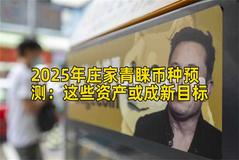 2025年庄家青睐币种预测：这些资产或成新目标