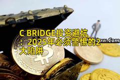 C BRIDGE投资避坑：2025年必须警惕的2大陷阱