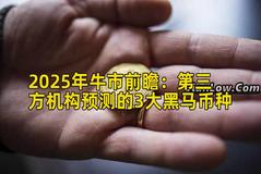 2025年牛市前瞻：第三方机构预测的3大黑马币种