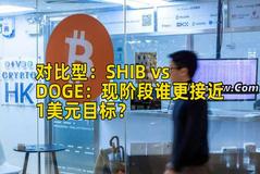 对比型：SHIB vs DOGE：现阶段谁更接近1美元目标？