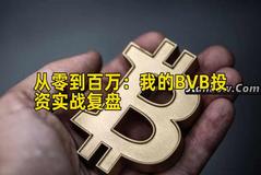 从零到百万：我的BVB投资实战复盘